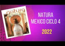 Revista NATURA México Ciclo 04 de 2022