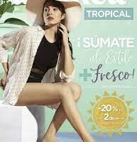 Andrea Tropical 2022