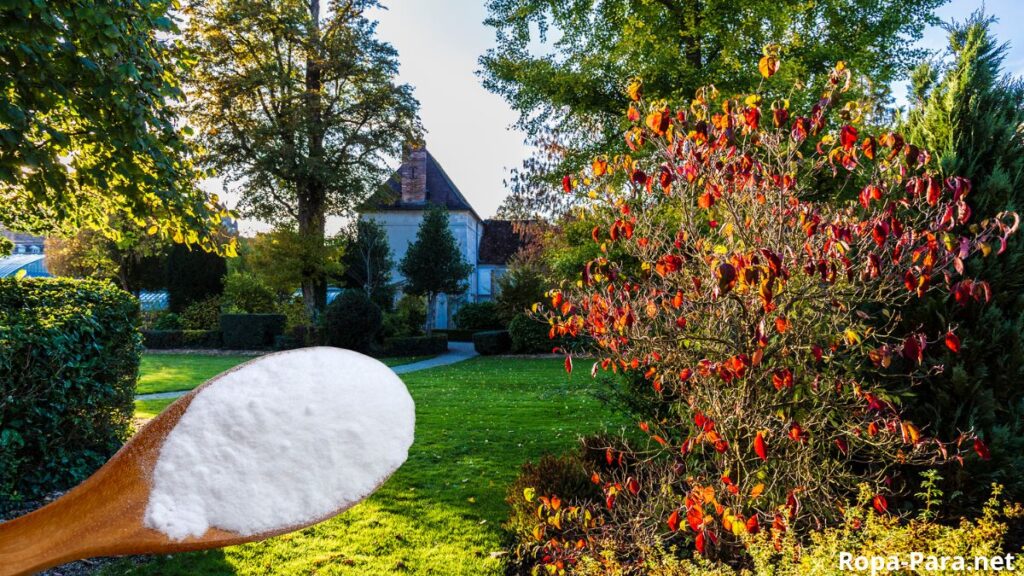 Echar bicarbonato en macetas y jardín para qué funciona y por qué lo sugieren