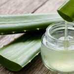 El truco con sábila para que las hojas de tus plantas luzcan brillantes