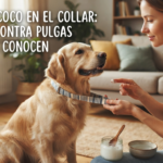 Aceite de coco en el collar de tu mascota: el truco contra pulgas que pocos conocen