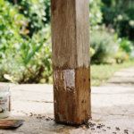 Untar aceite de coco en las patas de la mesa del jardín: para qué sirve contra las hormigas